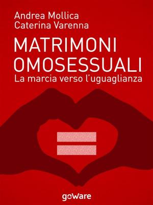 Book cover of Matrimoni omosessuali. La marcia verso l’uguaglianza