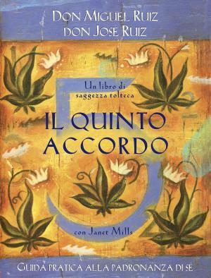 Book cover of Il quinto accordo