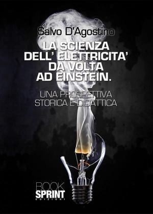 Cover of the book La scienza dell'elettricità da Volta ad Einstein by Ivan Rizzuto