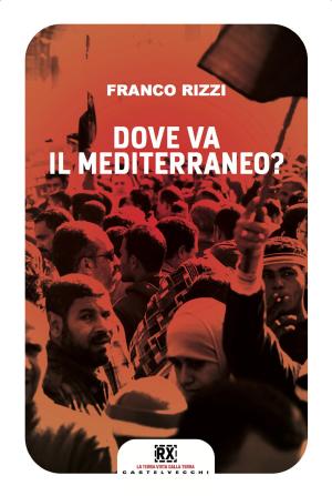 Cover of the book Dove va il Mediterraneo? by Jacques Derrida