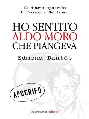 Cover of the book Ho sentito Aldo Moro che piangeva by Massimo Sacco