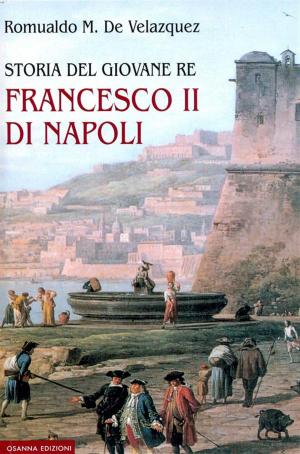 Cover of Storia del giovane re Francesco II di Napoli 1861