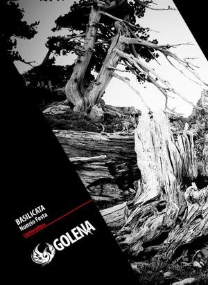 Cover of the book Basilicata by Alessandro Pedretta