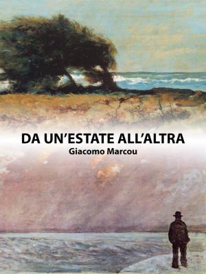 Book cover of Da un'estate all'altra