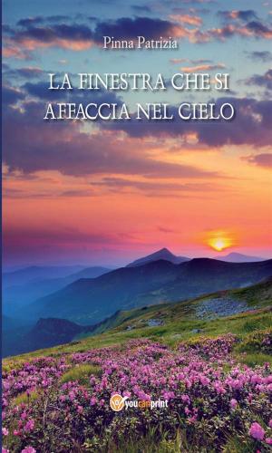 Cover of the book La finestra che si affaccia nel cielo by Sergio Felleti