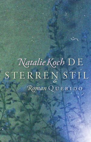 Cover of the book De sterren stil by Patrick Modiano