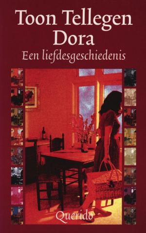 Cover of the book Dora by Maarten 't Hart