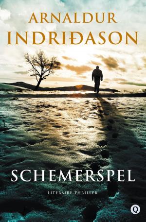 Cover of the book Schemerspel by Ru de Groen