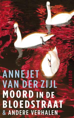 Cover of the book Moord in de Bloedstraat & andere verhalen by Henning Mankell