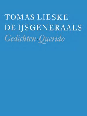 Cover of the book De ijsgeneraals by Arnaldur Indridason