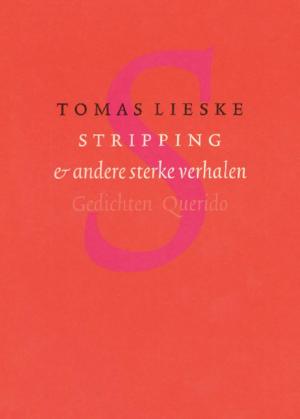 Cover of the book Stripping & andere sterke verhalen by Gerbert van der Aa