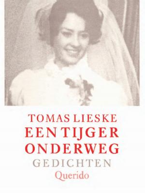 Book cover of Een tijger onderweg