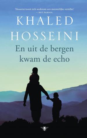 Cover of the book En uit de bergen kwam de echo by Marten Toonder