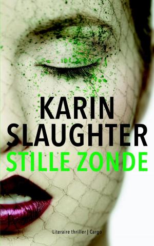 Cover of the book Stille zonde by Tommy Wieringa