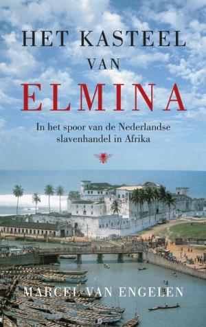 Cover of the book Het kasteel van Elmina by Tommy Wieringa