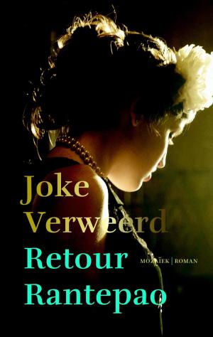 Cover of the book Retour Rantepao by Gerda van Wageningen