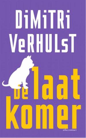 Cover of the book De laatkomer by Nelleke Noordervliet