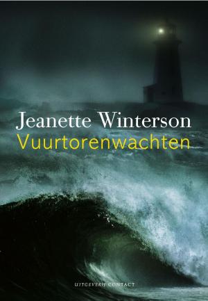 Cover of the book Vuurtorenwachten by Anders Rydell