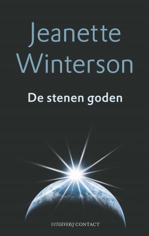 Cover of the book De stenen goden by Carolijn Visser