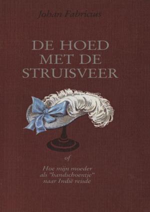 Cover of the book De hoed met de struisveer by Anna van Praag