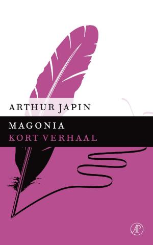 Cover of the book Magonia (DNP1) by Anna Woltz