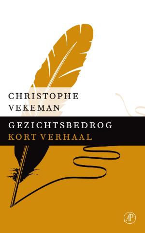 Cover of the book Gezichtsbedrog by Toon Tellegen