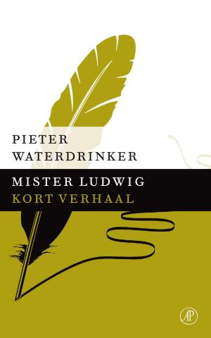 Cover of the book Mister Ludwig by Henning Mankell