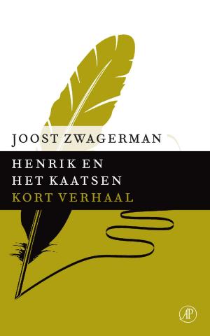 Cover of the book Henrik en het kaatsen by Arthur Japin