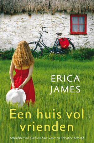 Cover of the book Een huis vol vrienden by A.C. Baantjer
