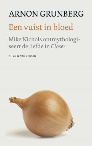 Cover of the book Een vuist in bloed by Theun de Vries