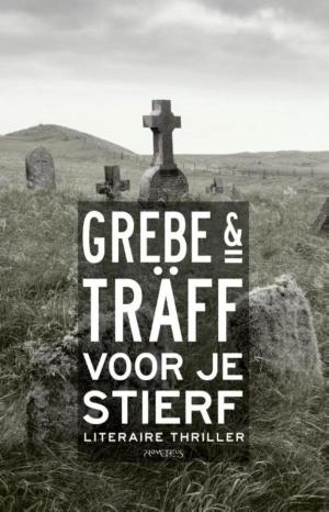 Cover of the book Voor je stierf by Connie Palmen