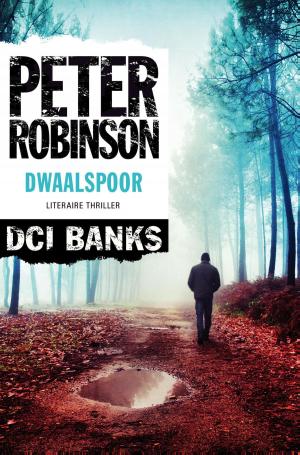 Cover of the book Dwaalspoor by Glenn Cooper
