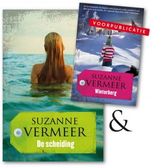 Cover of the book De scheiding by Eric Van Lustbader