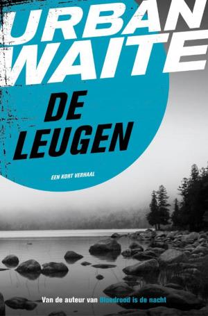 Cover of the book De leugen by Zanna Mela-Florou