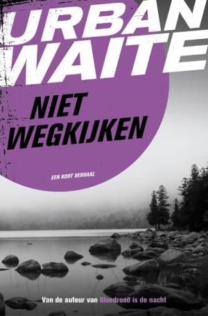 Cover of the book Niet wegkijken by Stieg Larsson