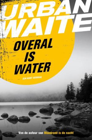 Cover of the book Overal is water by Jonas Jonasson