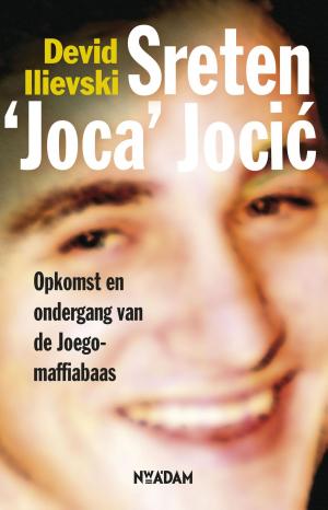 Cover of the book Sreten joca jocic by Lawrence Hill