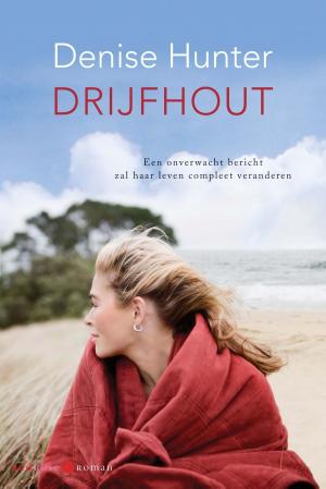 Cover of the book Drijfhout by Evelien van Dort