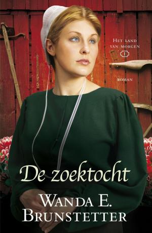 Cover of the book De zoektocht by Henny Thijssing-Boer