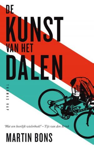 Cover of the book De kunst van het dalen by Nir Baram