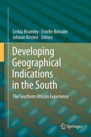 Cover of the book Developing Geographical Indications in the South by K.R. Rao, Jae Jeong Hwang, Do Nyeon Kim