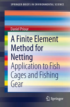 Cover of the book A Finite Element Method for Netting by Véronique Petit