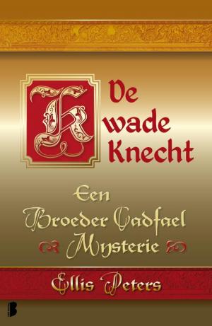 Cover of the book De kwade knecht by Diana Gabaldon