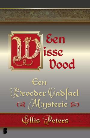Cover of the book Een wisse dood by Karl May