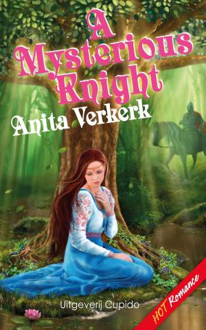 Book cover of A Mysterious Knight