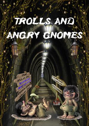 Cover of the book Trolls and angry gnomes by Han Peeters