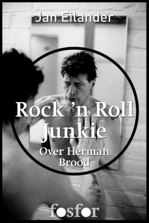 Cover of the book Rock n Roll Junkie by Joost Zwagerman