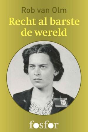 Cover of the book Recht al barste de wereld by Fred Vargas