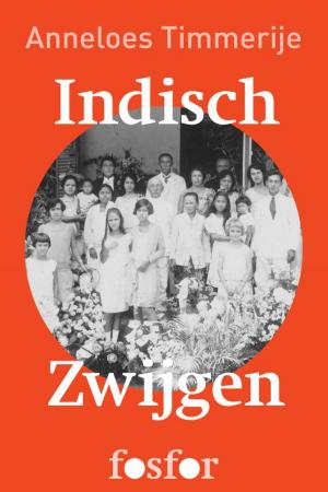 Cover of the book Indisch zwijgen by Querido