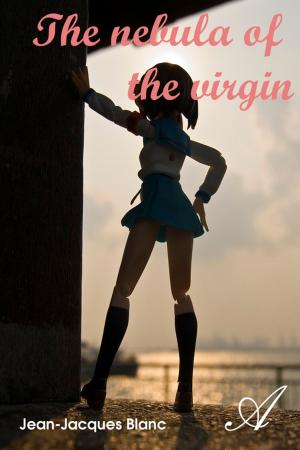 Cover of the book The nebula of the virgin by Nicolas Vidal